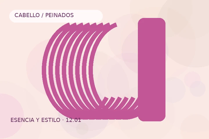 Composición complementaria para Peinados rápidos para días ocupados